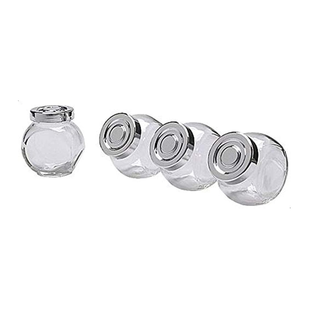 4-Piece Glass Spice Jars with Aluminum Lids