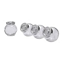 4-Piece Glass Spice Jars with Aluminum Lids
