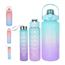 3-Pack Motivational Hydration Water Bottles with Time Markers & Straws - 2L, 1L, 0.5L Capacity - Gradient Design