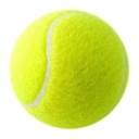 Yellow Tennis Ball - Size 7 - Regulation Size for Practice, Training & Play