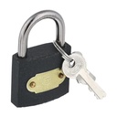 Heavy-Duty Black Padlock with Hardened Steel Shackle and 2 Keys - Secure Gates, Sheds, and More